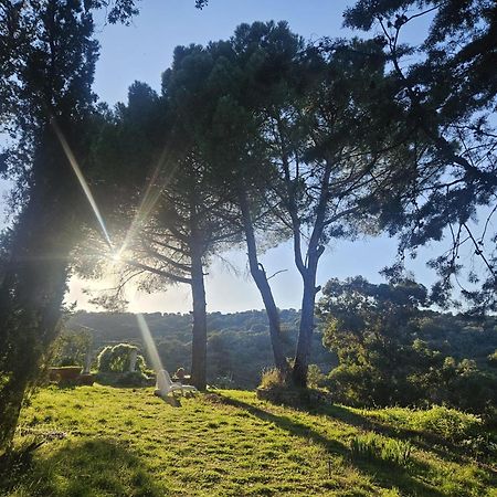 Casa Rural Camino De Hierro I Y II La Fregeneda Екстер'єр фото
