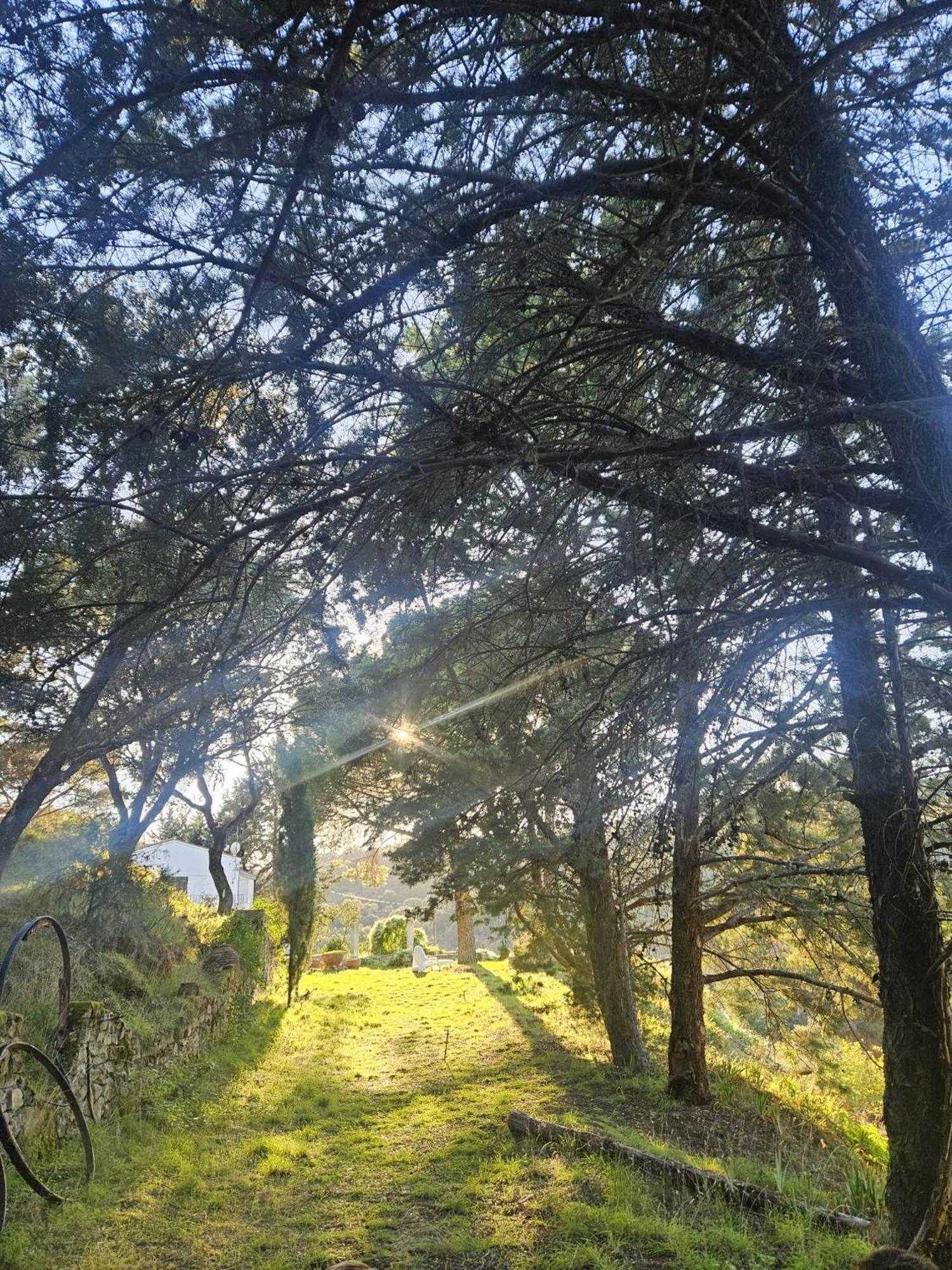 Casa Rural Camino De Hierro I Y II La Fregeneda Екстер'єр фото