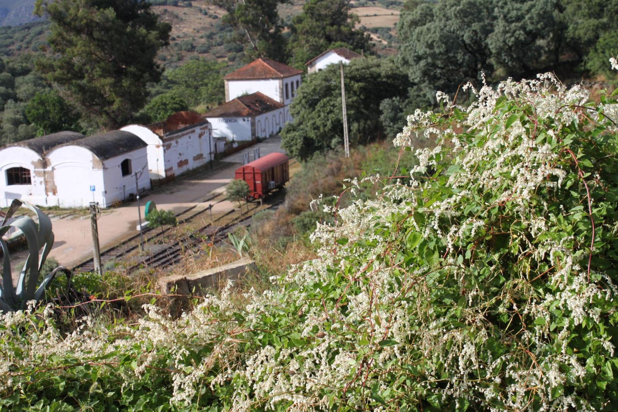 Casa Rural Camino De Hierro I Y II La Fregeneda Екстер'єр фото